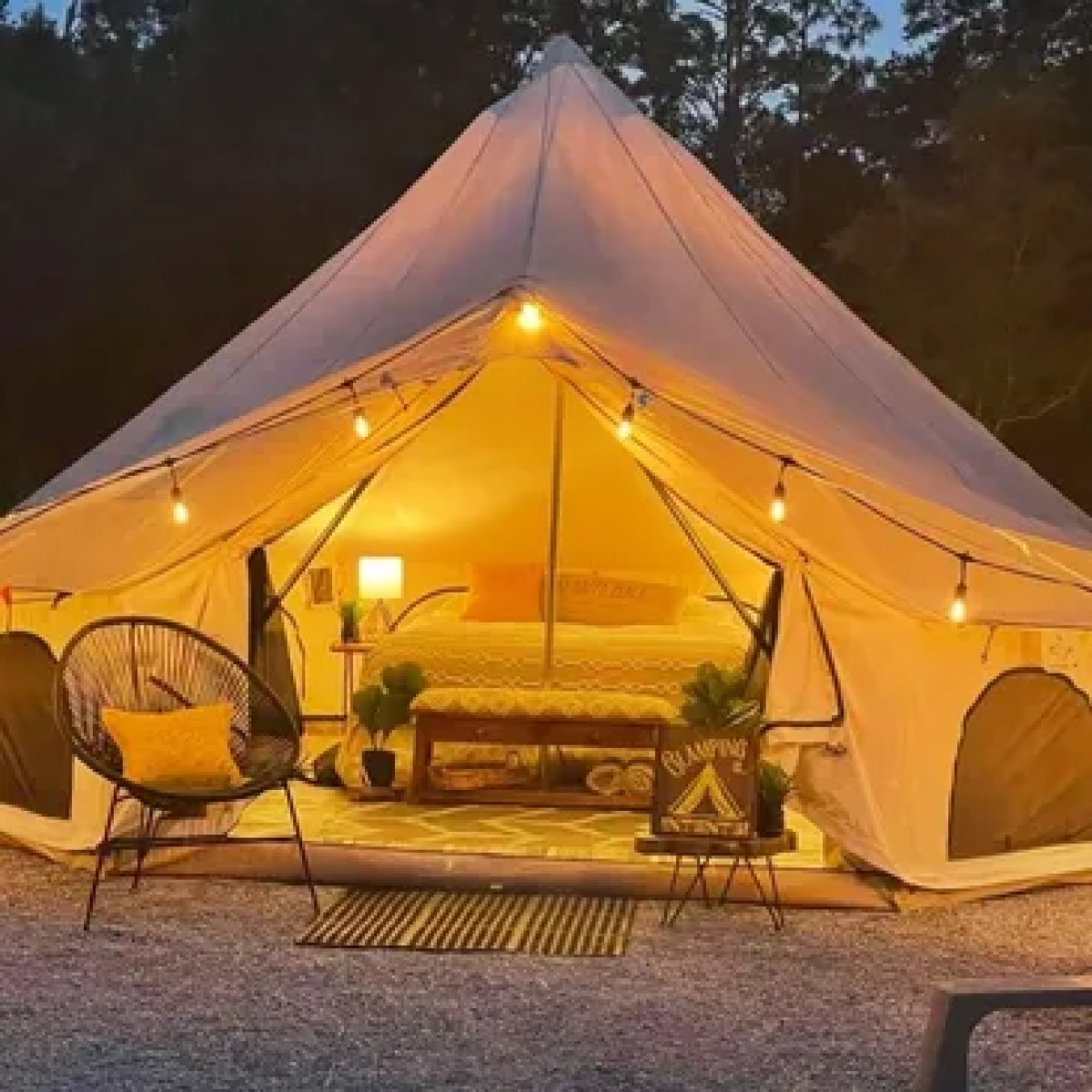 rs=w_365,h_365,cg_true